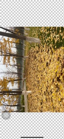 PSD.See для iOS — скриншот 4