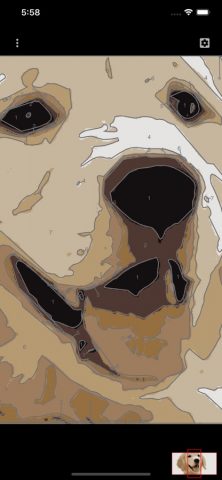 Paint by Numbers Creator для iOS — скриншот 5