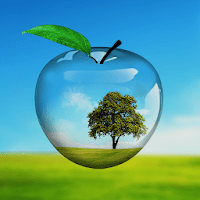 PiP камера картинка в картинке для Android