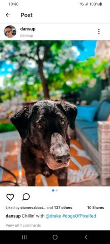 Pixelfed для Android — скриншот 4