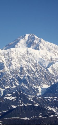 Planetary Quarantine для iOS — скриншот 1