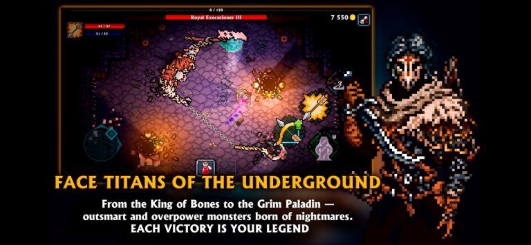 Pocket Rogues для iOS — скриншот 2