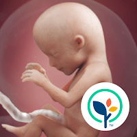 Pregnancy App & Baby Tracker для Android