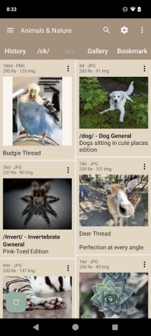 Read Chan — 4chan Reader для Android — скриншот 1