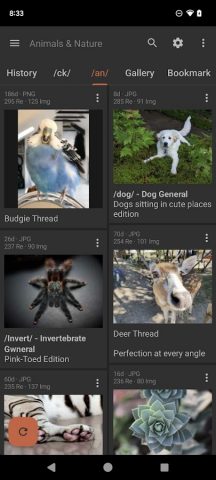 Read Chan — 4chan Reader для Android — скриншот 2