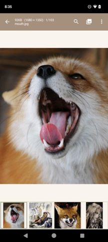 Read Chan — 4chan Reader для Android — скриншот 5