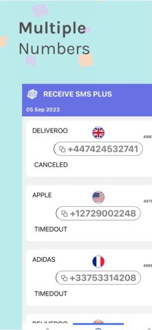 Receive SMS Plus для iOS — скриншот 5