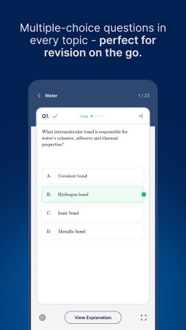 Revision Village для Android — скриншот 3