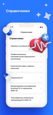 Рубрикатор КР для iOS — скриншот 4