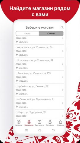 Русский Разгуляйка для Android — скриншот 3