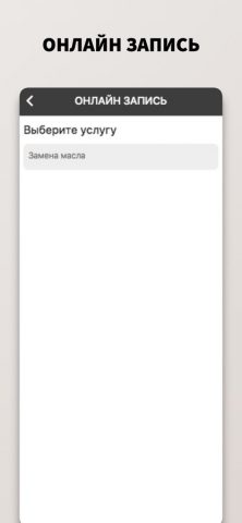 СТО Рабочий для iOS — скриншот 3