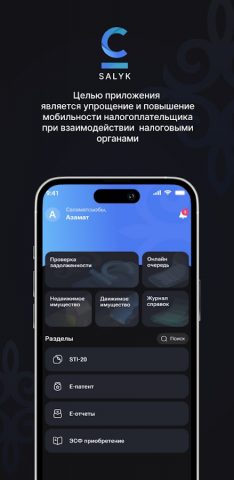 Salyk для Android — скриншот 1