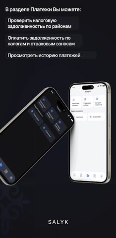 Salyk для Android — скриншот 4