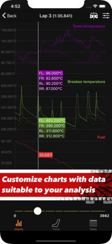 Sim Racing Telemetry для iOS — скриншот 2