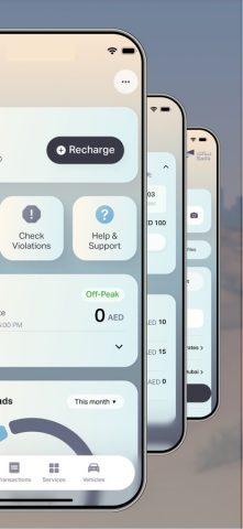 Smart Salik для iOS — скриншот 2