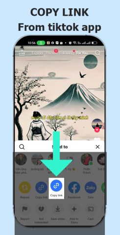 TikNoWatermark — Скачать видео для Android — скриншот 4