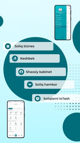 Soliq для Android — скриншот 2
