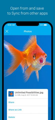 Sync — Secure cloud storage для iOS — скриншот 4