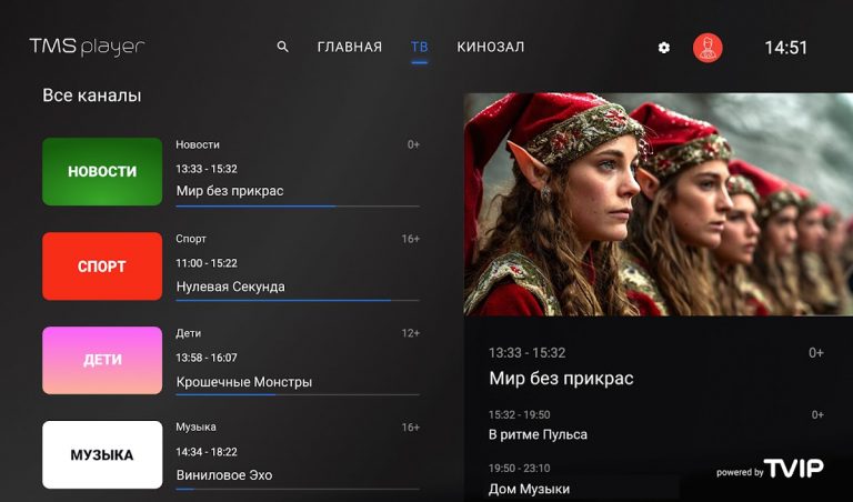 TMS player для ТВ для Android — скриншот 2