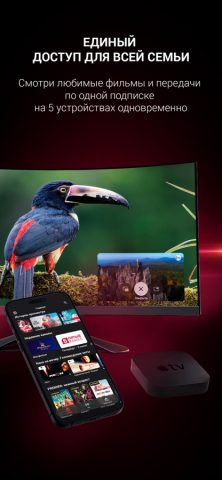ТТК ТВ для iOS — скриншот 2