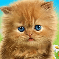 Talking baby cat. Talking game для Android
