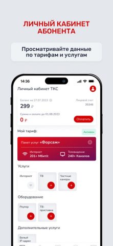 Телеком-Сервис для iOS — скриншот 2
