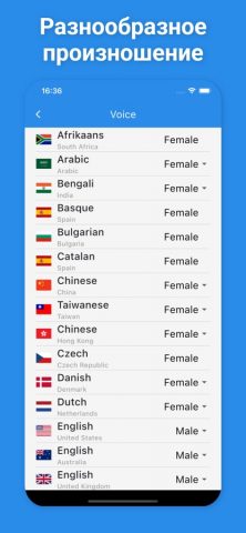 Турецкий переводчик и больше + для iOS — скриншот 5