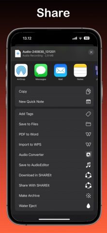 Усилитель звука・громкость для iOS — скриншот 3
