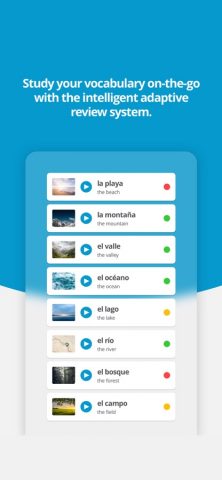 Verbling — Speak like a local. для iOS — скриншот 4
