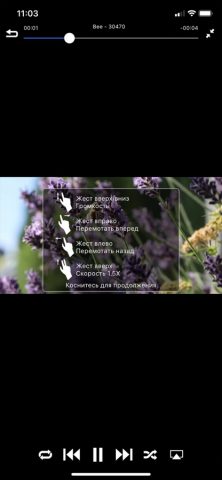 Видео Менеджер для Облака для iOS — скриншот 4