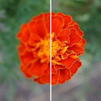 Video quality enhancer-editor для Android