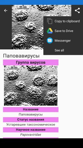 Вирусы для Android — скриншот 3