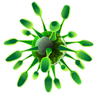 Вирусы для Android