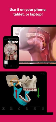 Visible Body Suite для Android — скриншот 4