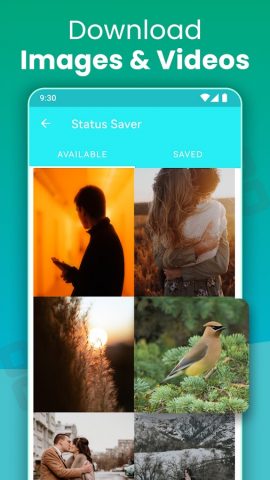 Web Scan Tool — Dual Accounts для Android — скриншот 3