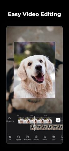 Wink: Video Enhancer & Editor для iOS — скриншот 2