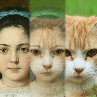 Zooface — GIF Animal Morph для Android