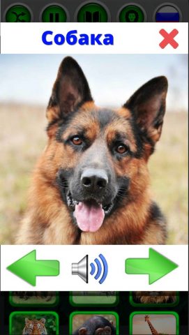 Звуки животных и птиц для Android — скриншот 2