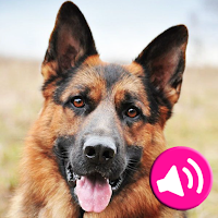 Звуки животных и птиц для Android