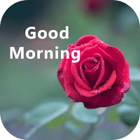 Good Morning Rose для Android
