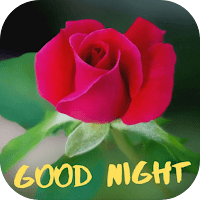 Good Night in Rose для Android
