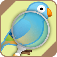 идентификатор птицы для Android