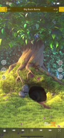 nPlayer для iOS — скриншот 4