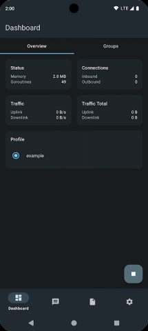 sing-box для Android — скриншот 1