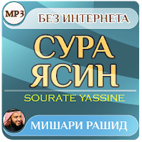 сура ясин Мишари Рашид — коран для Android