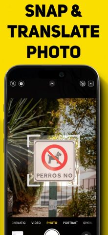 яндекс переводчик — Translator для iOS — скриншот 3