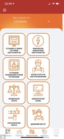 BelPay для iOS — скриншот 2