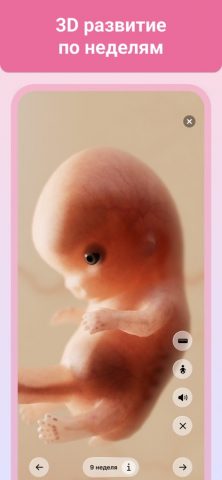 Беременность + для iOS — скриншот 5