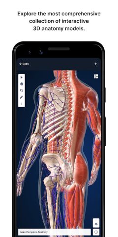 BioDigital Human — 3D Anatomy для Android — скриншот 1