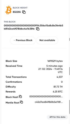 BlockExplorer для Android — скриншот 3